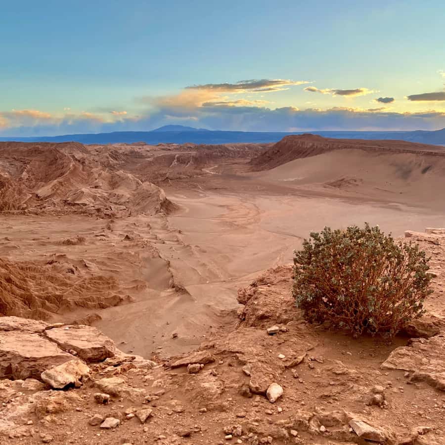San Pedro de Atacama Tour Guiado Valle de la Luna & Cocktail - Language, guiding, and what you should expect