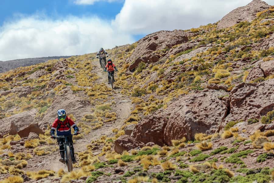 San Pedro de Atacama: Volcano Downhill Bike Tour - How the guides and support change the experience