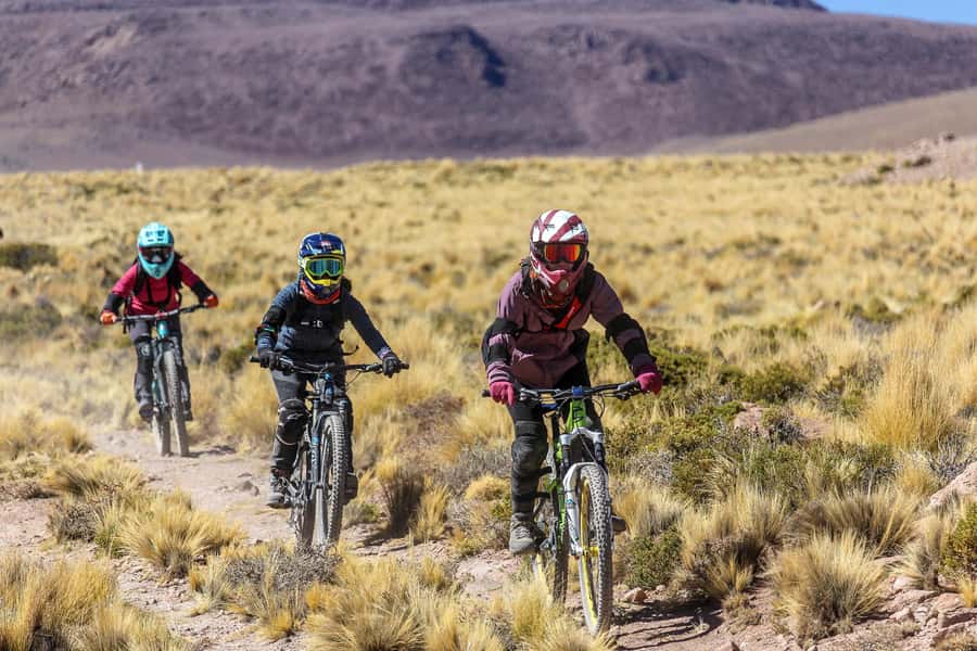 San Pedro de Atacama: Volcano Downhill Bike Tour - Who should book this ride?