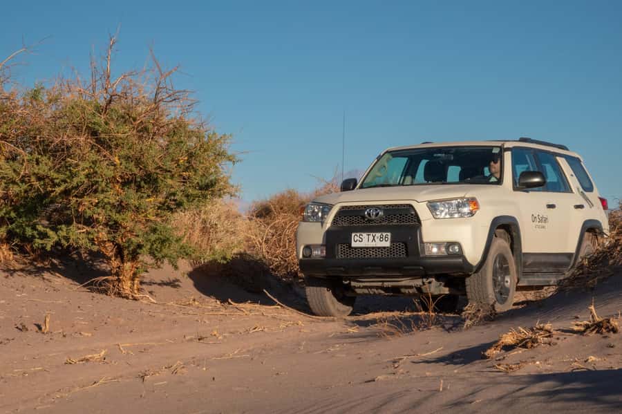 San Pedro de Atacama: Wildlife Safari and Photography Tour - Who should book this safari?