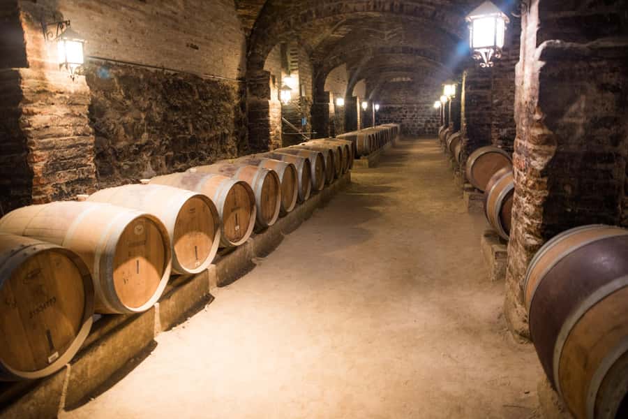 Santa Rita: Tour + Premium Wine Tasting + Private Transport - Key points to know before booking