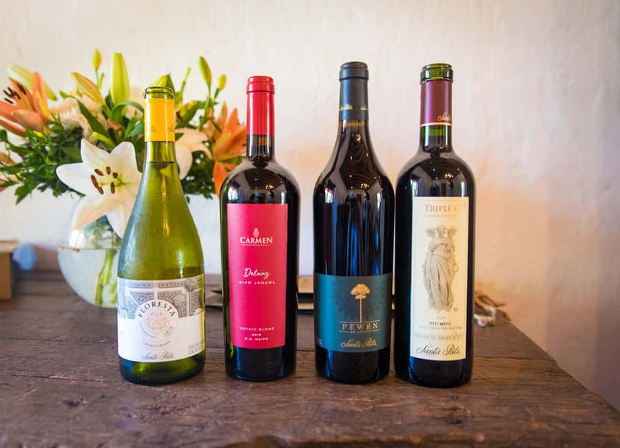 Santa Rita: Tour + Premium Wine Tasting + Private Transport - Practical tips for making the day better