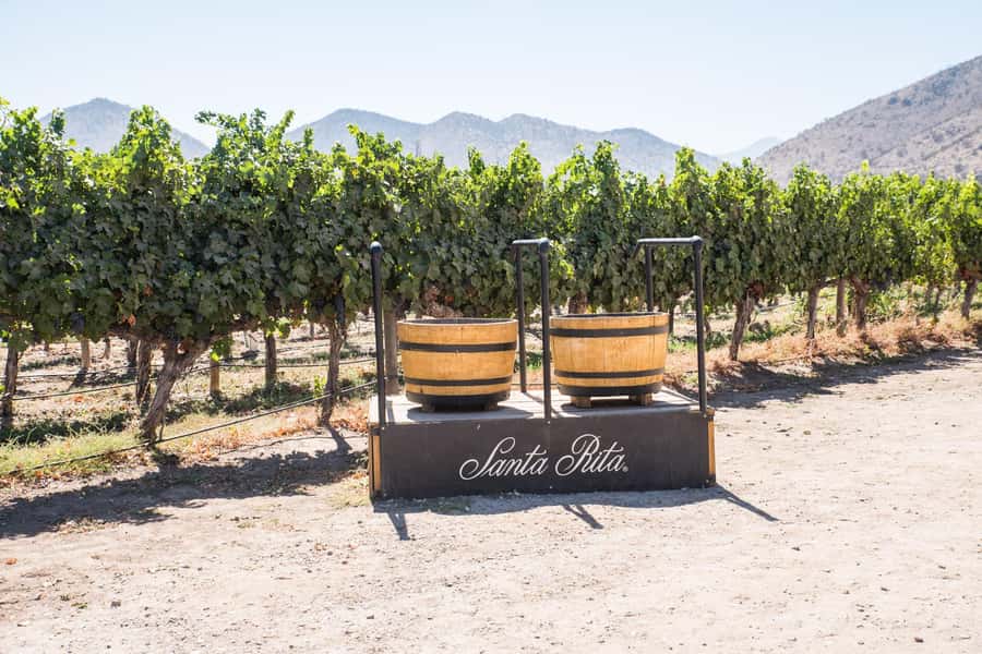 Santa Rita: Tour + Premium Wine Tasting + Private Transport - Leaving Santiago in a private white van