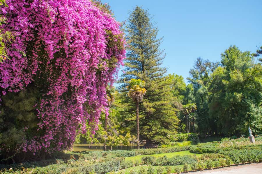 Santa Rita: Tour + Premium Wine Tasting + Private Transport - Tasting four Ultra Premium wines