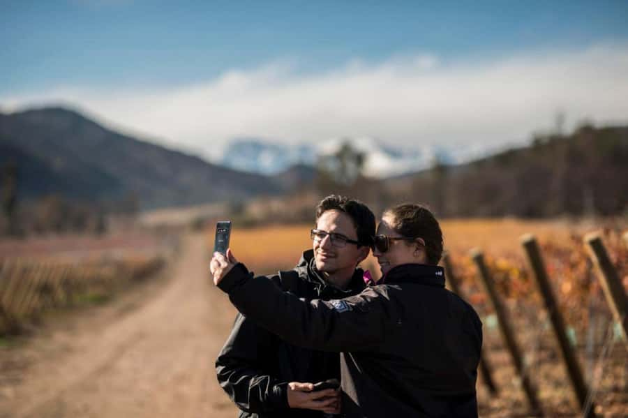 Santa Rita Vineyard Tour: History, Wine, and Outdoor Picnic - Centenary Park sets the tone