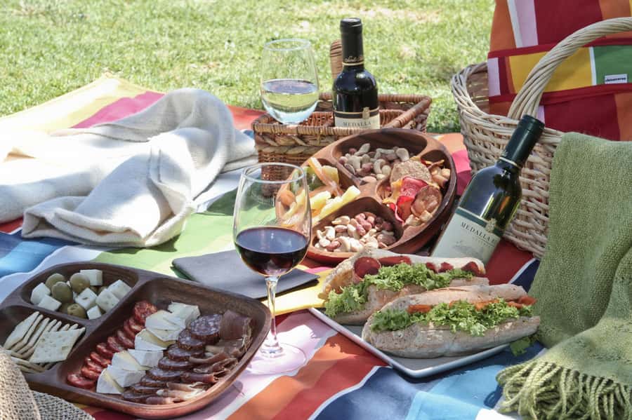 Santa Rita Vineyard Tour: History, Wine, and Outdoor Picnic - The bicycle ride through the vines