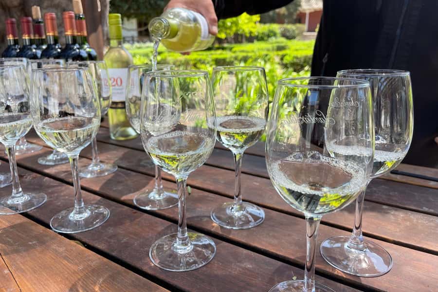 Santa Rita Vineyard Tour: History, Wine, and Outdoor Picnic - A picnic that earns its place in the schedule