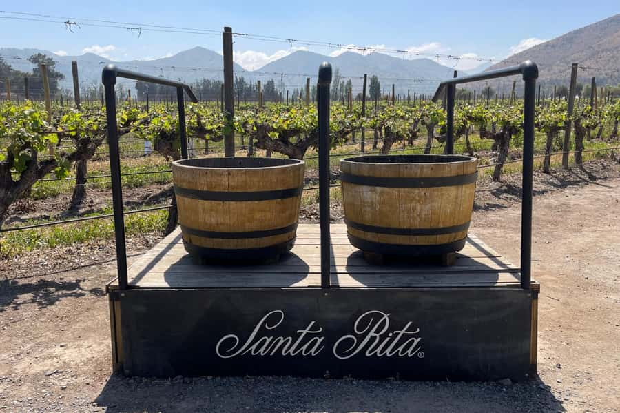 Santa Rita Vineyard Tour: History, Wine, and Outdoor Picnic - Getting there from five Santiago meeting points