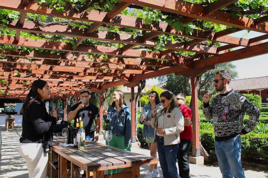 Santa Rita Vineyard Tour with Lunch, an Unforgettable Day! - Key points to know before you book