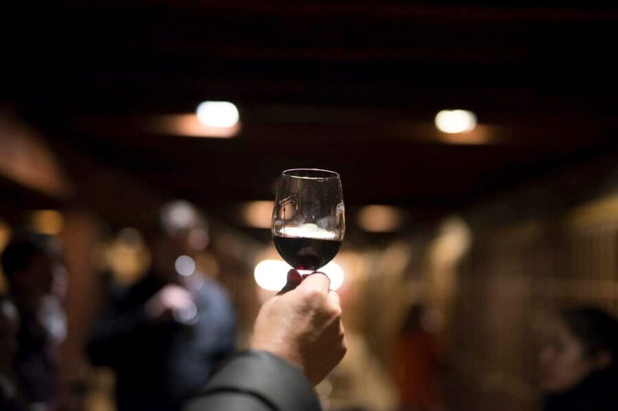 Santa Rita Vineyard Tour with Lunch, an Unforgettable Day! - Is $207 a fair price?
