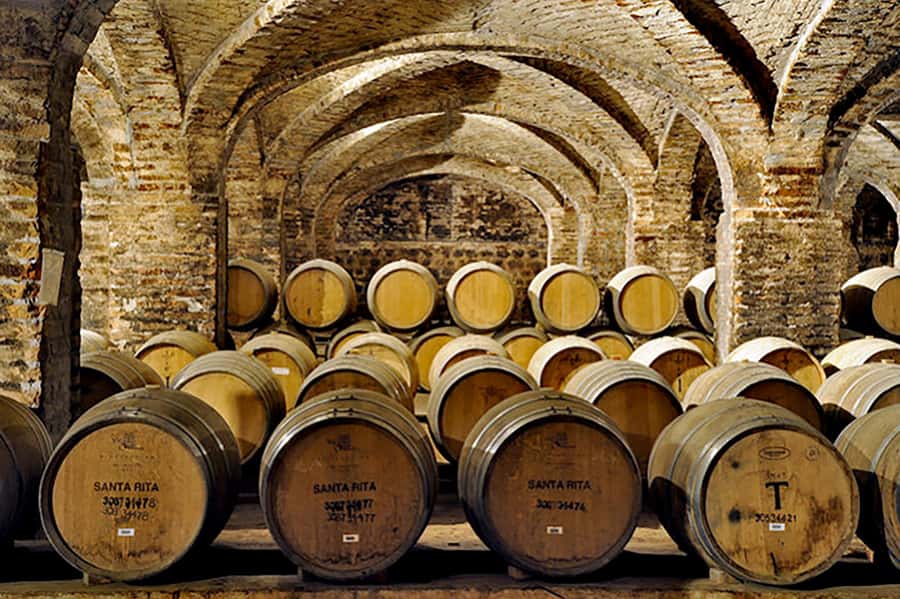 Santa Rita Vineyard Tour with Lunch, an Unforgettable Day! - Choosing the bike tour or the walking route