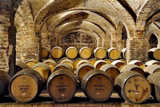 Santa Rita Winery Selection Tour - Why Santa Rita makes a good Santiago wine outing