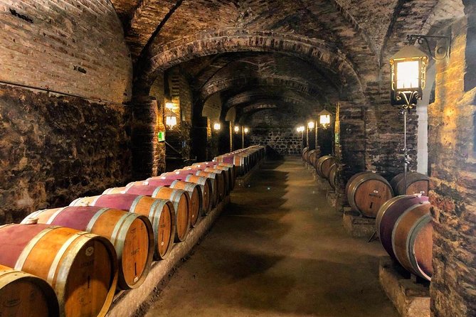 Santa Rita Winery Selection Tour - Who will get the most from this tour