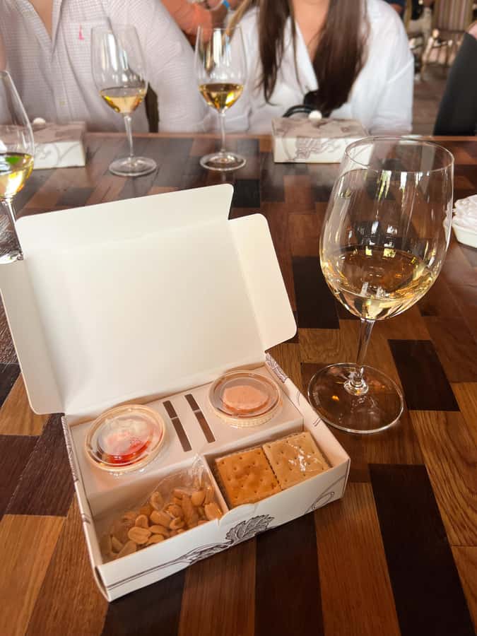 Santiago: Alyan Winery Sunset with Wine Tastings and Dinner - Three or four Family Ambassador tastings