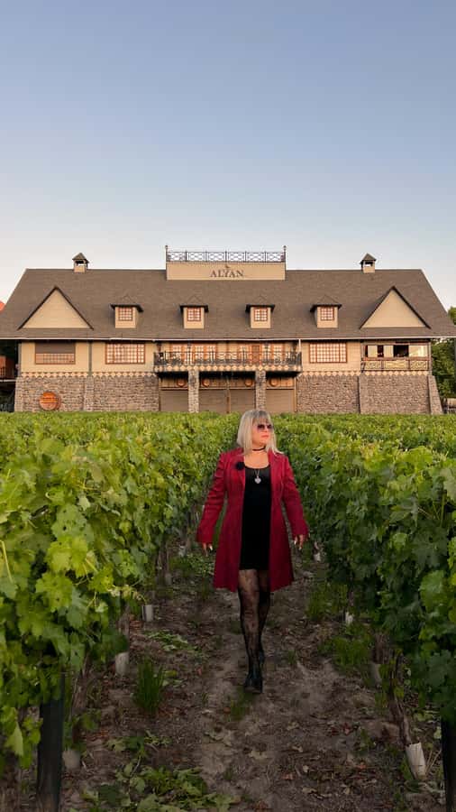 Santiago: Alyan Winery Sunset with Wine Tastings and Dinner - Leaving Santiago for Santa Rita