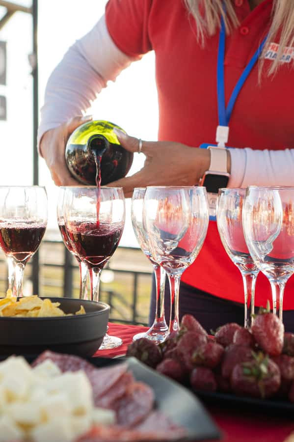 Santiago: Andes Mountains Sunset and Valle Nevado & Picnic - Key details before you book