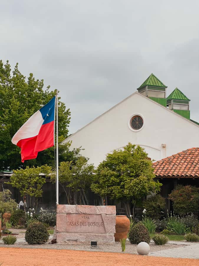 Santiago: Casa del Bosque Winery with Tasting and Lunch - Four tastings with a sommelier guide