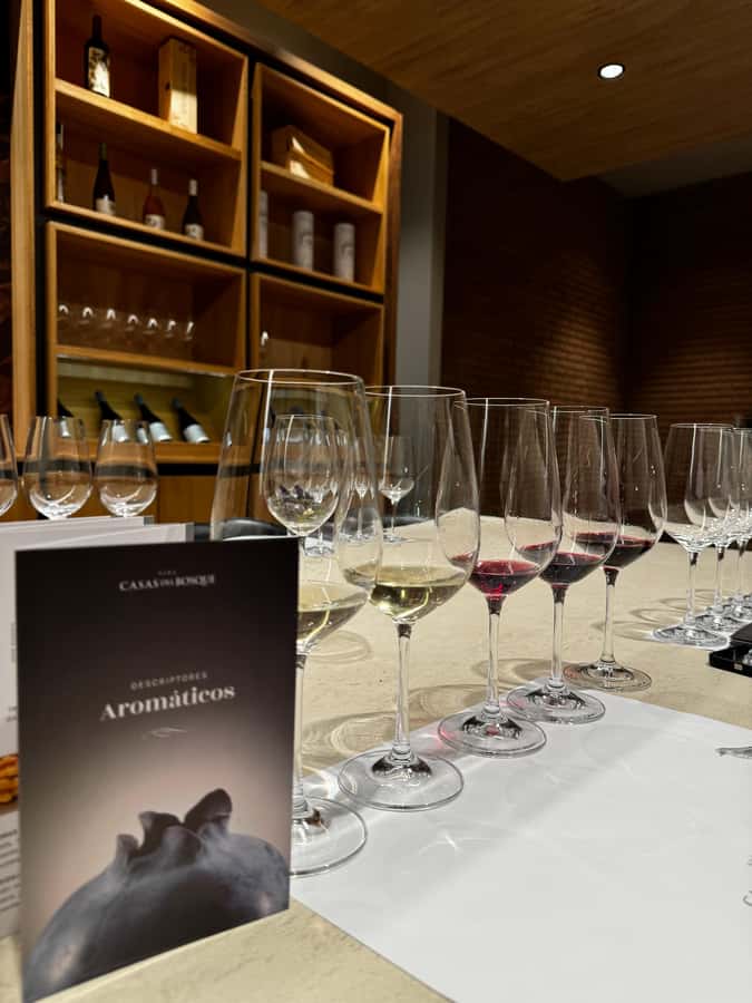 Santiago: Casa del Bosque Winery with Tasting and Lunch - Tanino’s three-course lunch