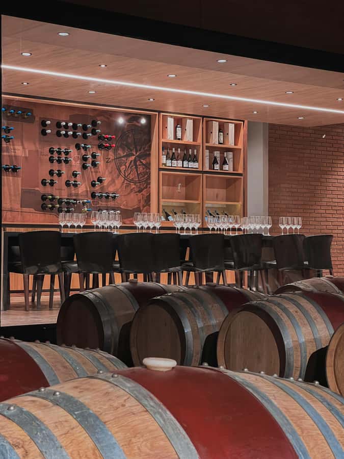 Santiago: Casa del Bosque Winery with Tasting and Lunch - Timing problems to avoid
