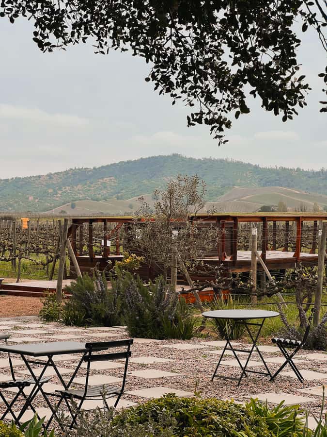 Santiago: Casa del Bosque Winery with Tasting and Lunch - Walking through Casa del Bosque’s facilities