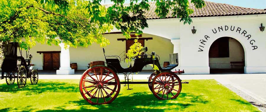 Santiago: Concha y Toro and Undurraga Vineyards Tour - Starting at Viña Undurraga