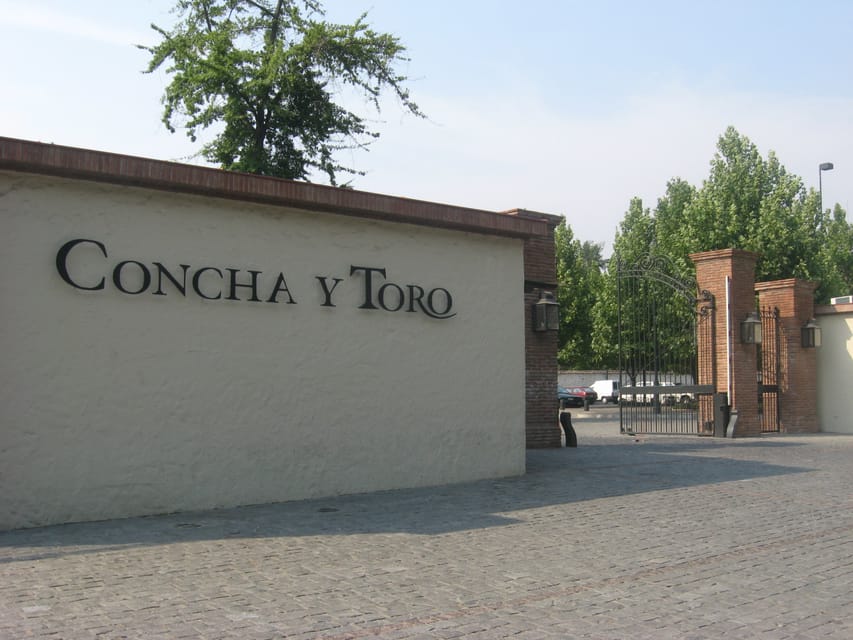 Santiago: Concha y Toro and Undurraga Vineyards Tour - Who will enjoy this wine outing?