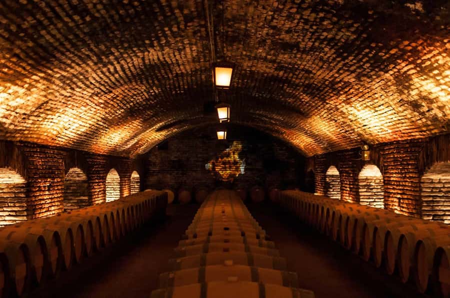 Santiago: Concha y Toro and Undurraga Vineyards Tour - Making room for lunch