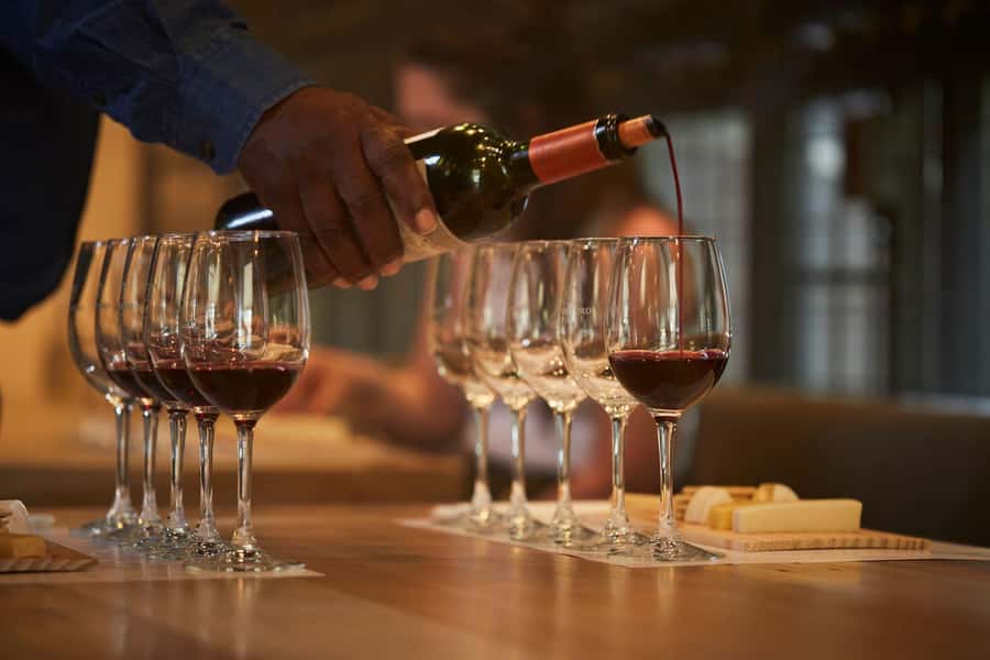 Santiago: Concha y Toro Vineyard Tour w/ Transfer & Tasting - From Santiago to the vines of Pirque