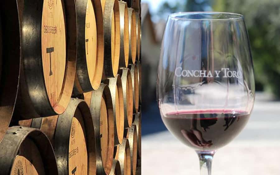 Santiago: Concha y Toro Vineyard Tour w/ Transfer & Tasting - How the shared transfer affects your day