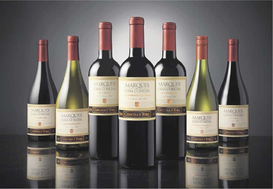 Santiago: Concha y Toro Winery 4–Hour Tour & Sommelier Class - Who should book this winery day?
