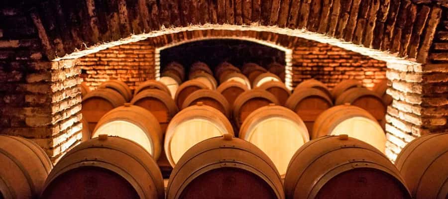 Santiago: Concha y Toro Winery 4–Hour Tour & Sommelier Class - The family estate and its formal gardens