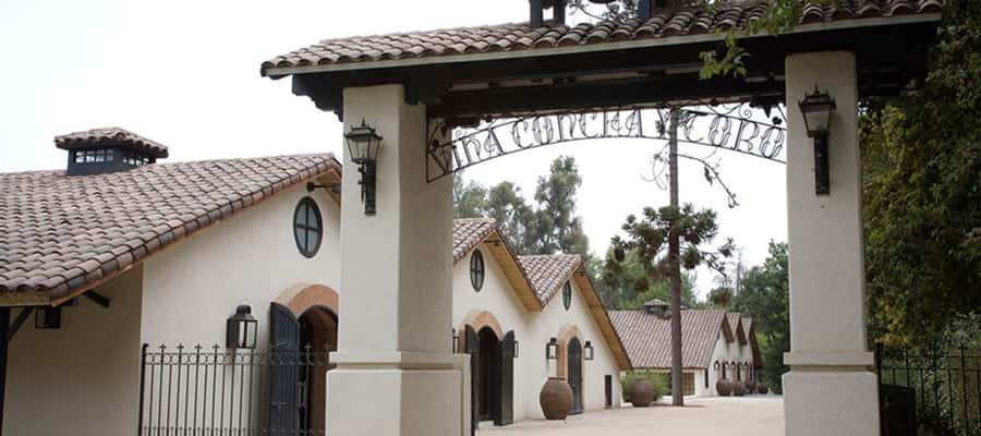 Santiago: Concha y Toro Winery 4–Hour Tour & Sommelier Class - Three standard tastings before the sommelier session