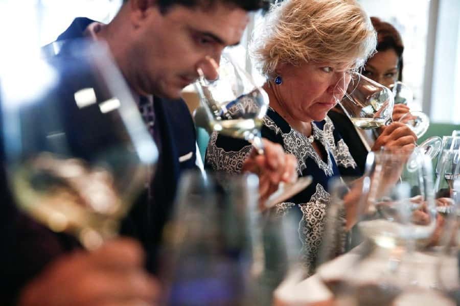 Santiago: Concha y Toro Winery 4–Hour Tour & Sommelier Class - Twenty-six grape varieties in the Garden of Varieties