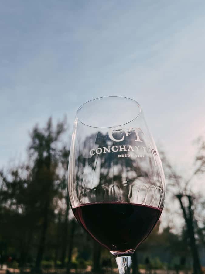 Santiago: Concha y Toro with transfer, tasting & gift cup - Why Concha y Toro makes an easy first winery visit
