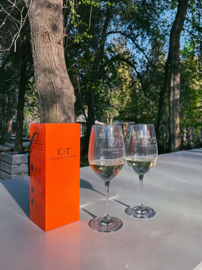 Santiago: Concha y Toro with transfer, tasting & gift cup - The shop adds about 30 minutes to the visit