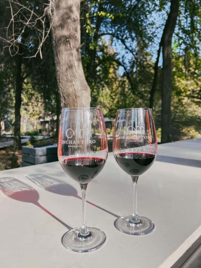 Santiago: Concha y Toro with transfer, tasting & gift cup - Languages, group flow, and daily changes