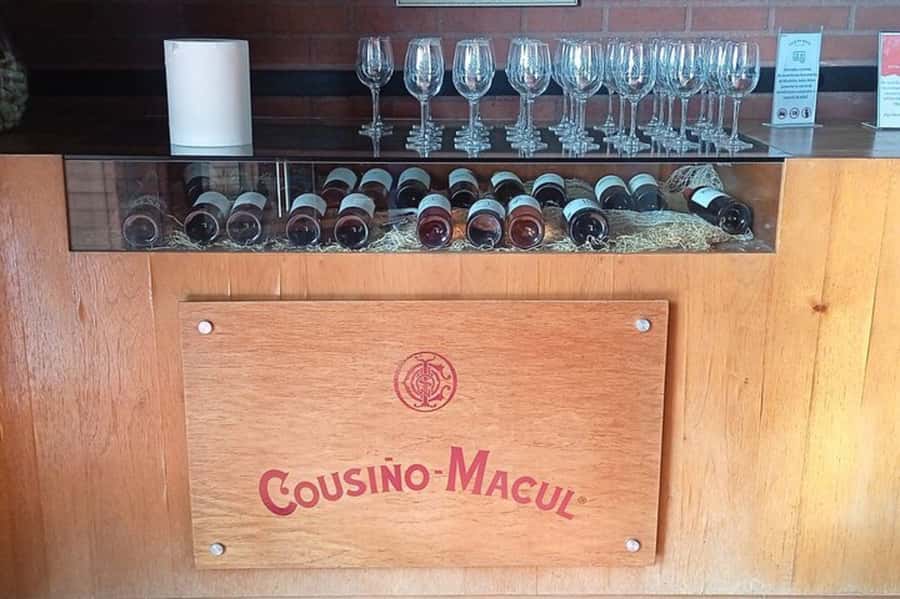Santiago: Cousiño Macul Vineyard Premium Tasting Tour - What the 90-Minute Schedule Really Means