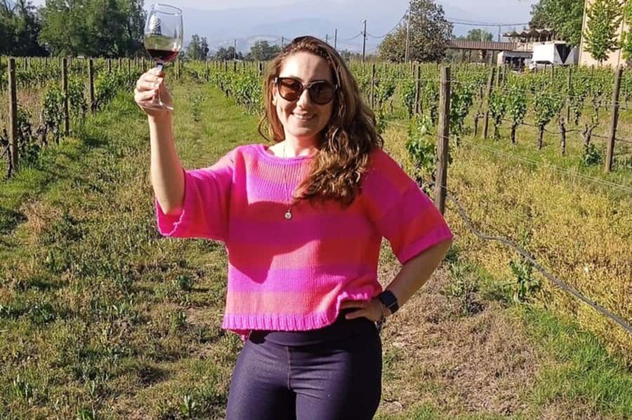 Santiago: Cousiño Macul Vineyard Premium Tasting Tour - Walking Among Cousiño Macul’s Grape Vines