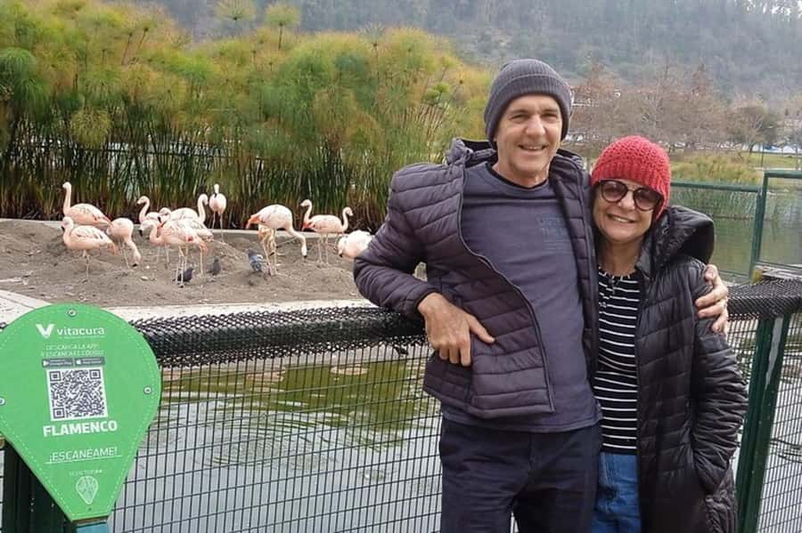 Santiago de Chile: Half-Day City Tour with Local Cuisine - La Moneda and the civic heart of Santiago