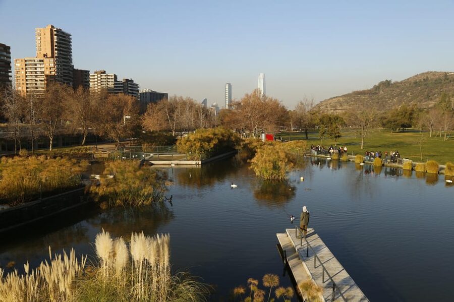 Santiago Half-Day Walking Tour with Hotel Pick up & Brunch - La Moneda and the politics of Chile