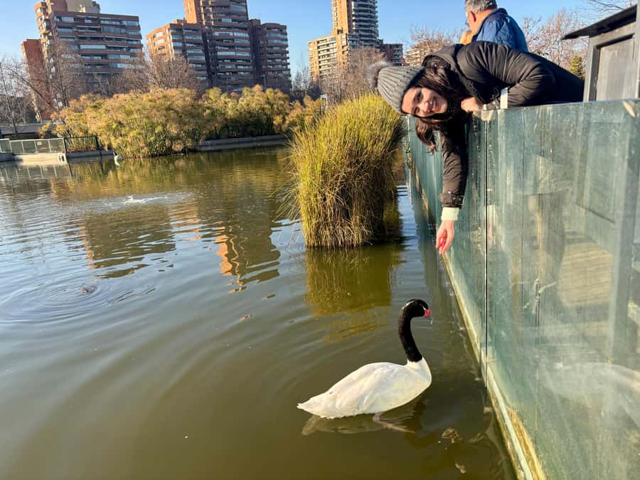 Santiago Half-Day Walking Tour with Hotel Pick up & Brunch - Why the guide can make or break the experience