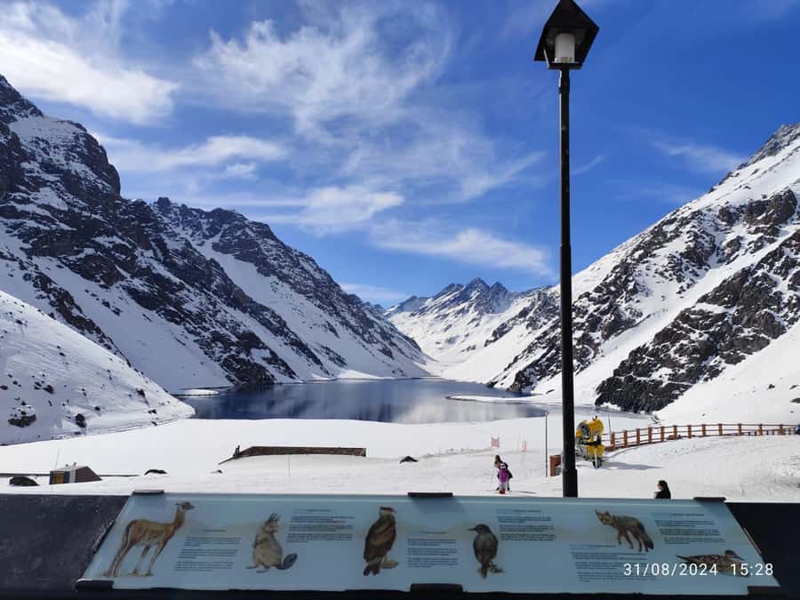 Santiago: Inca Lagoon Tour with Local Vineyard and Tasting - Seeing Aconcagua from the Los Andes Valley