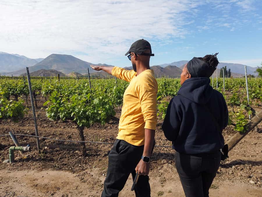 Santiago: Inca Lagoon Tour with Local Vineyard and Tasting - A brief stop at Ventisquero Guardia Vieja