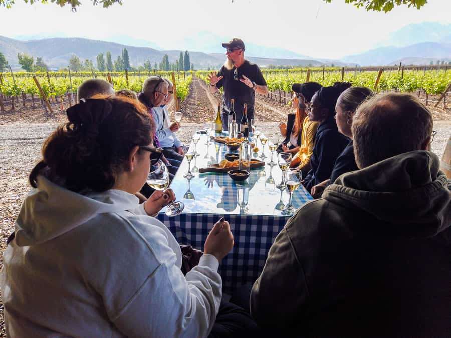 Santiago: Inca Lagoon Tour with Local Vineyard and Tasting - Guides, drivers, and the feel of the day