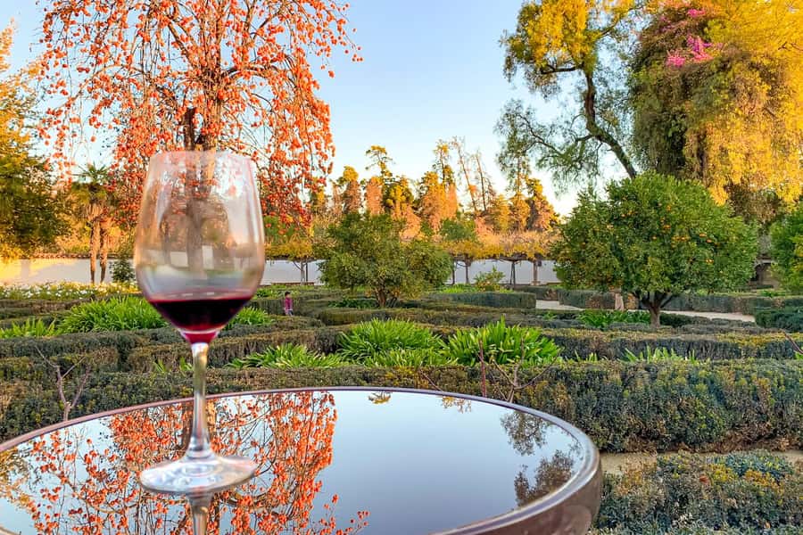 Santiago: Main Chilean Wineries Private Half-Day Tours - Why this half-day wine tour works from Santiago