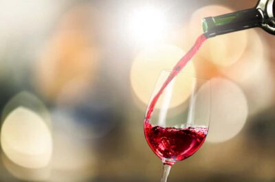 Main Chilean Wineries Private Half-Day Tours