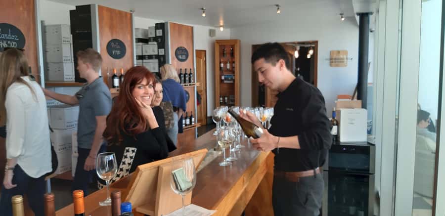Santiago: Main Chilean Wineries Private Half-Day Tours - The tasting and included local lunch