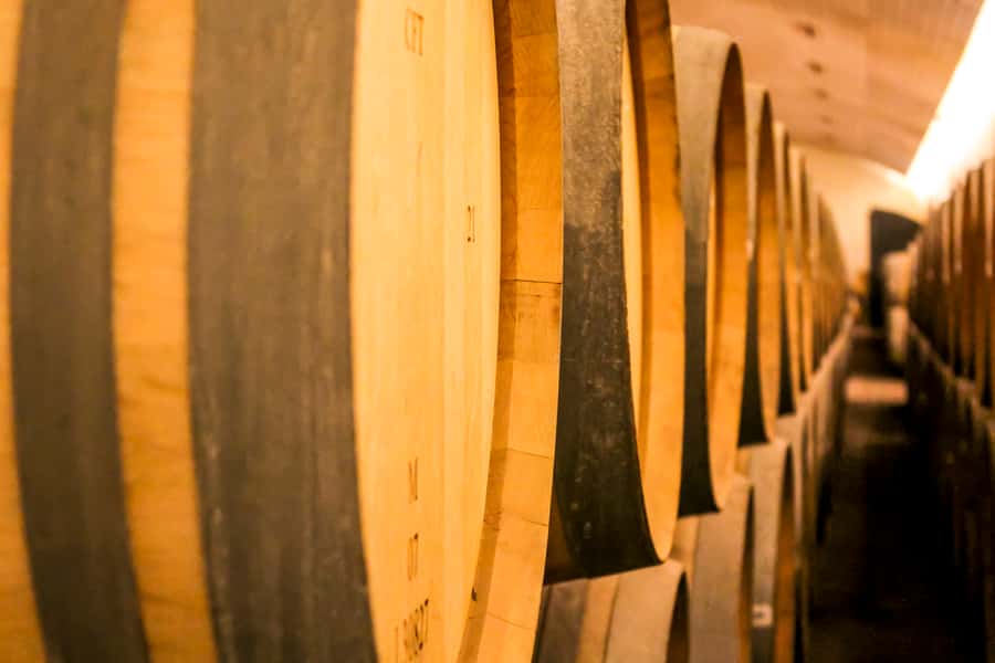 Santiago: Main Chilean Wineries Private Half-Day Tours - Is $290 per person a fair price?