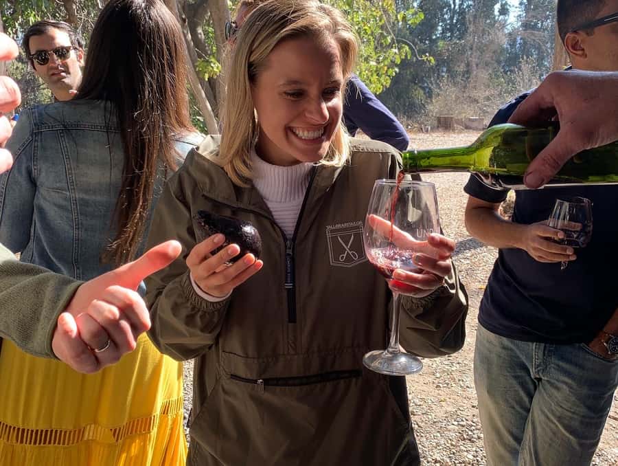 Santiago: Maipo Valley Wine Tasting Tour with 4 Vineyards - Key points at a glance