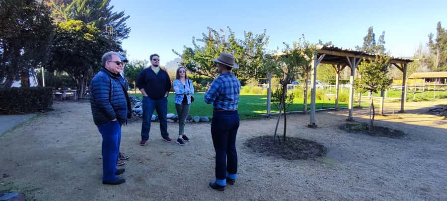 Santiago: Maipo Valley Wine Tasting Tour with 4 Vineyards - Who will enjoy this Maipo Valley day?